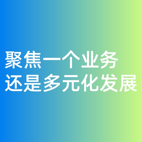 鈀碳回收, 聚焦一個業(yè)務，還是多元化發(fā)展